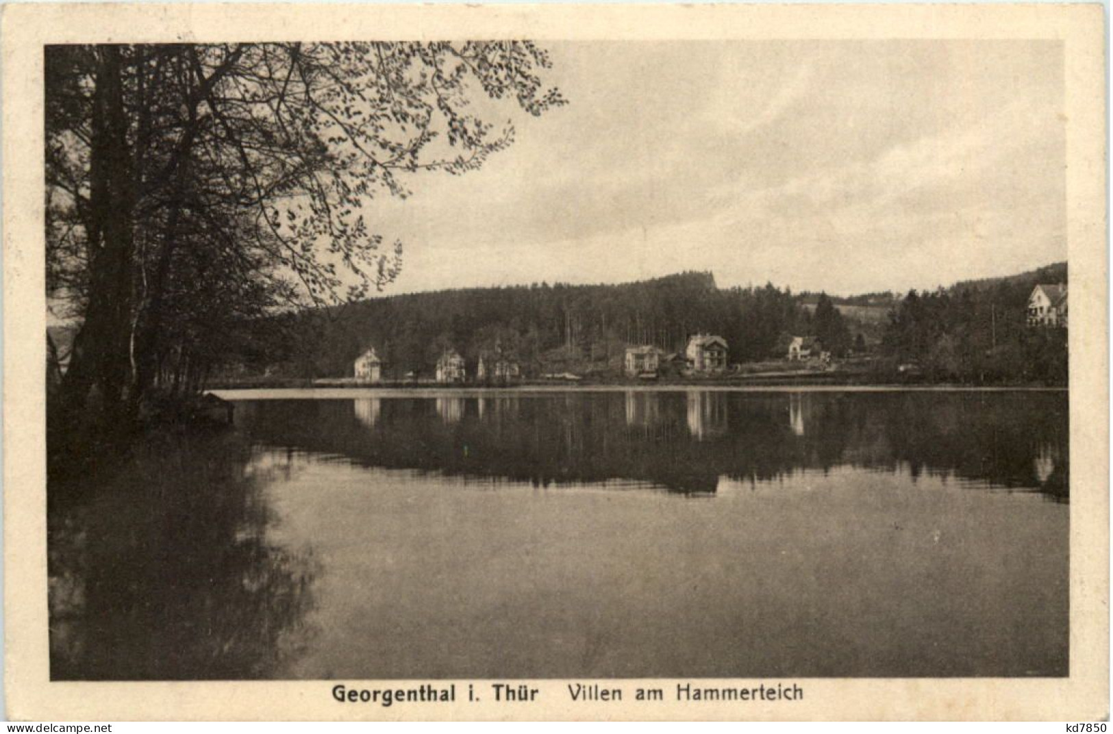 Georgenthal, Villen Am Hammerteich - Georgenthal