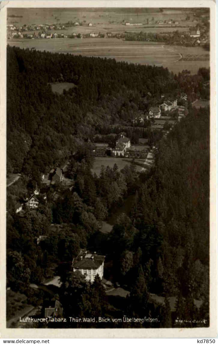 Tabarz/Thür. Wald, Blick Vom Übelbergfelsen - Tabarz