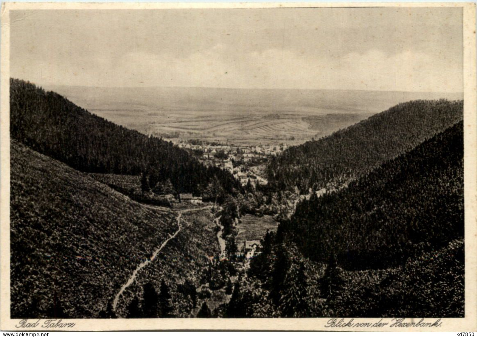 Tabarz, Blick Von Der Hexenbank - Tabarz