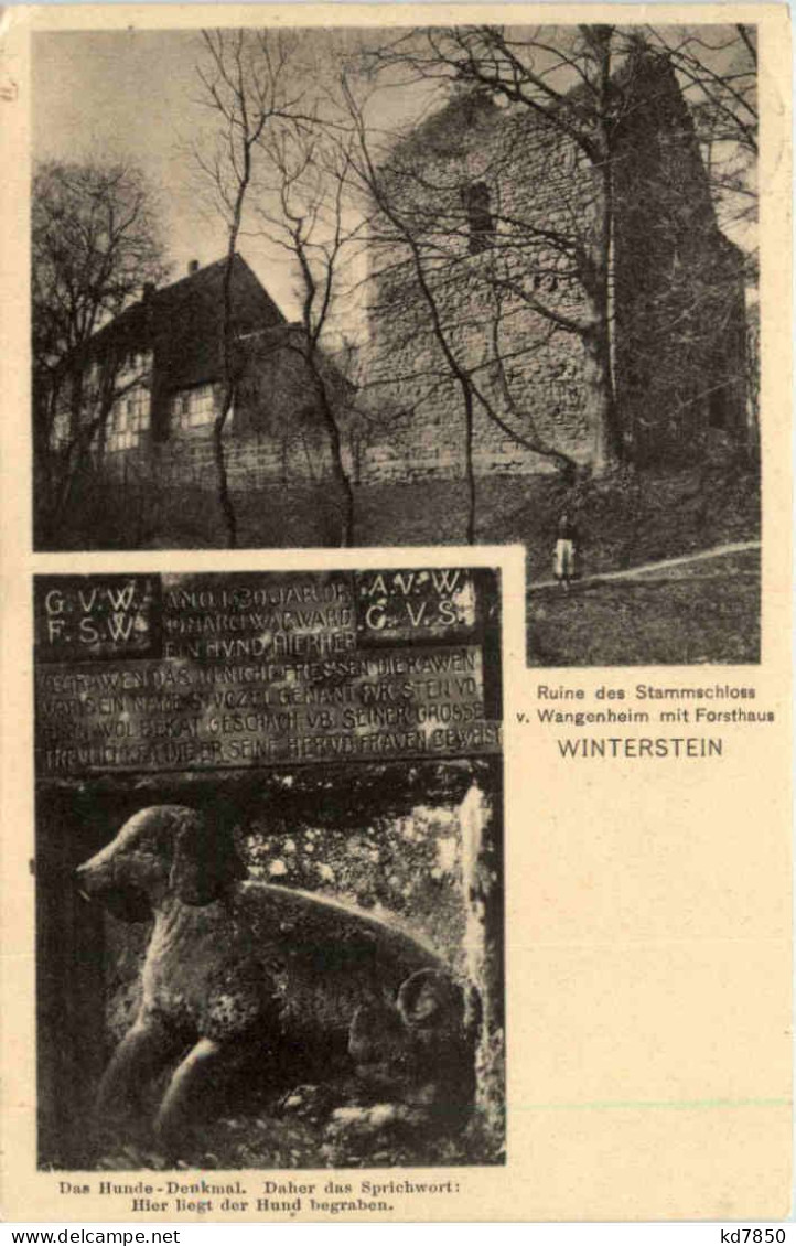 Waltershausen, Ruine Des Stammschloss V. Wangenheim, Winterstein - Waltershausen