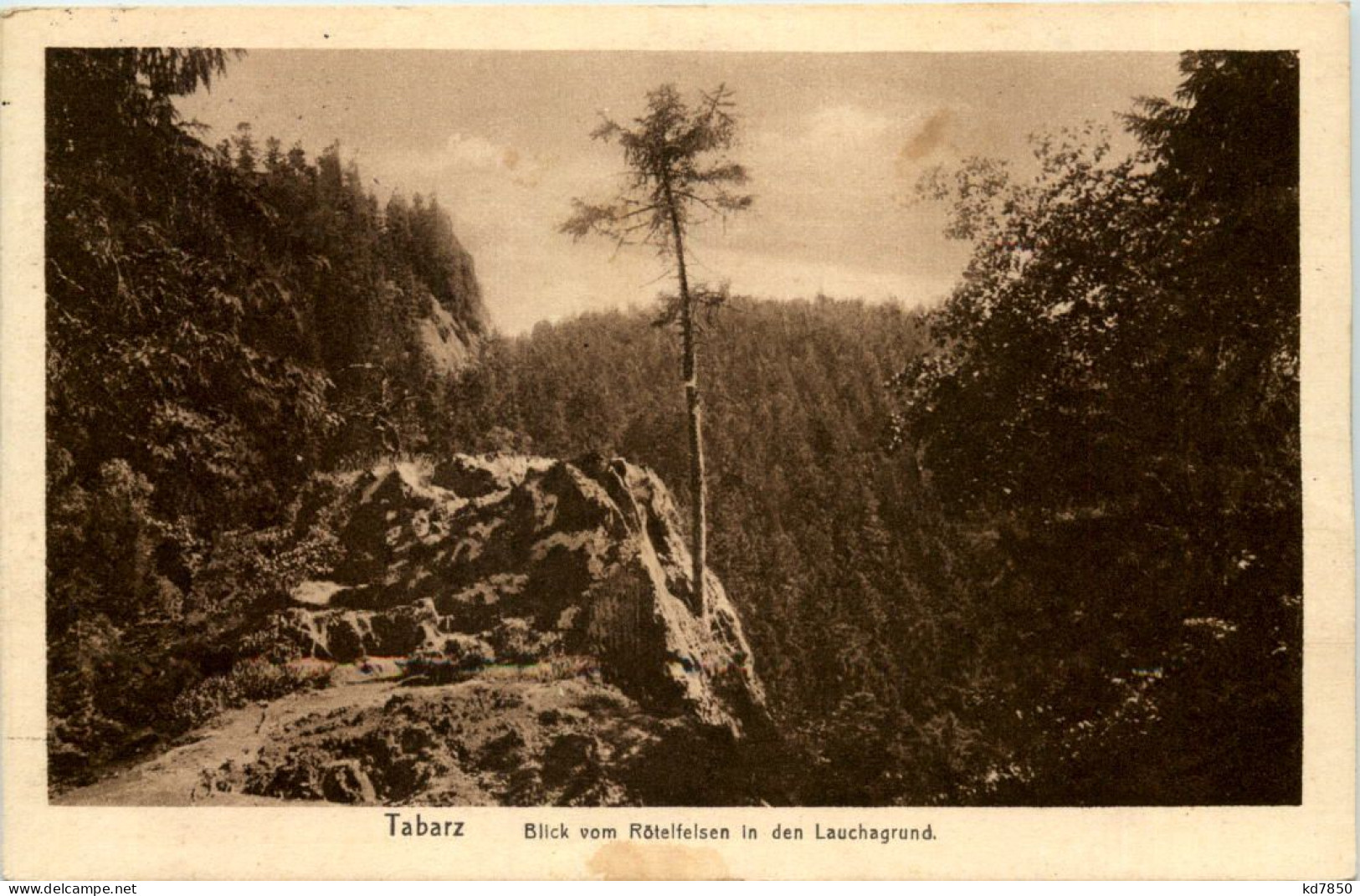 Tabarz, Blick Vom Rötelfelsen In Den Lauchagrund - Tabarz