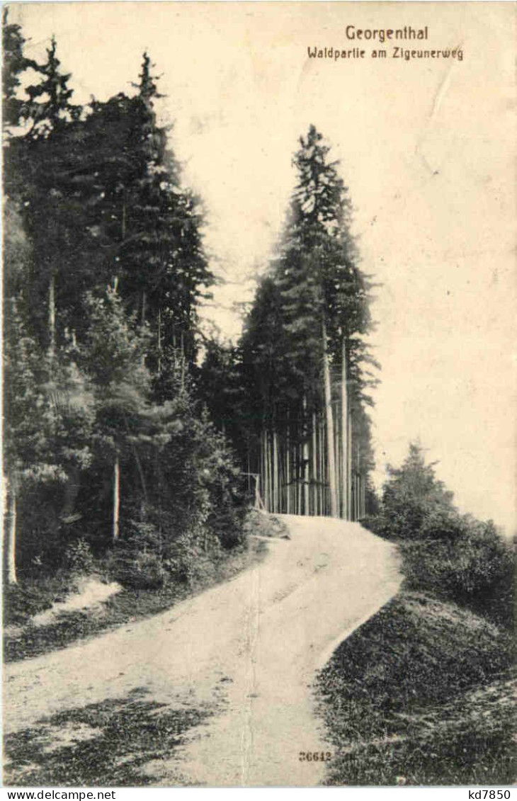 Georgenthal In Thüringen, Waldpartie Am Zigeunerweg - Georgenthal