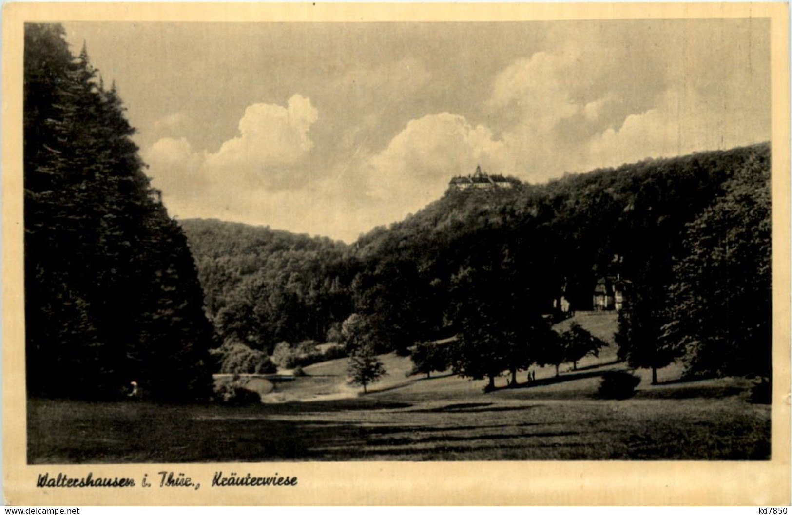 Waltershausen, Kräuterwiese - Waltershausen