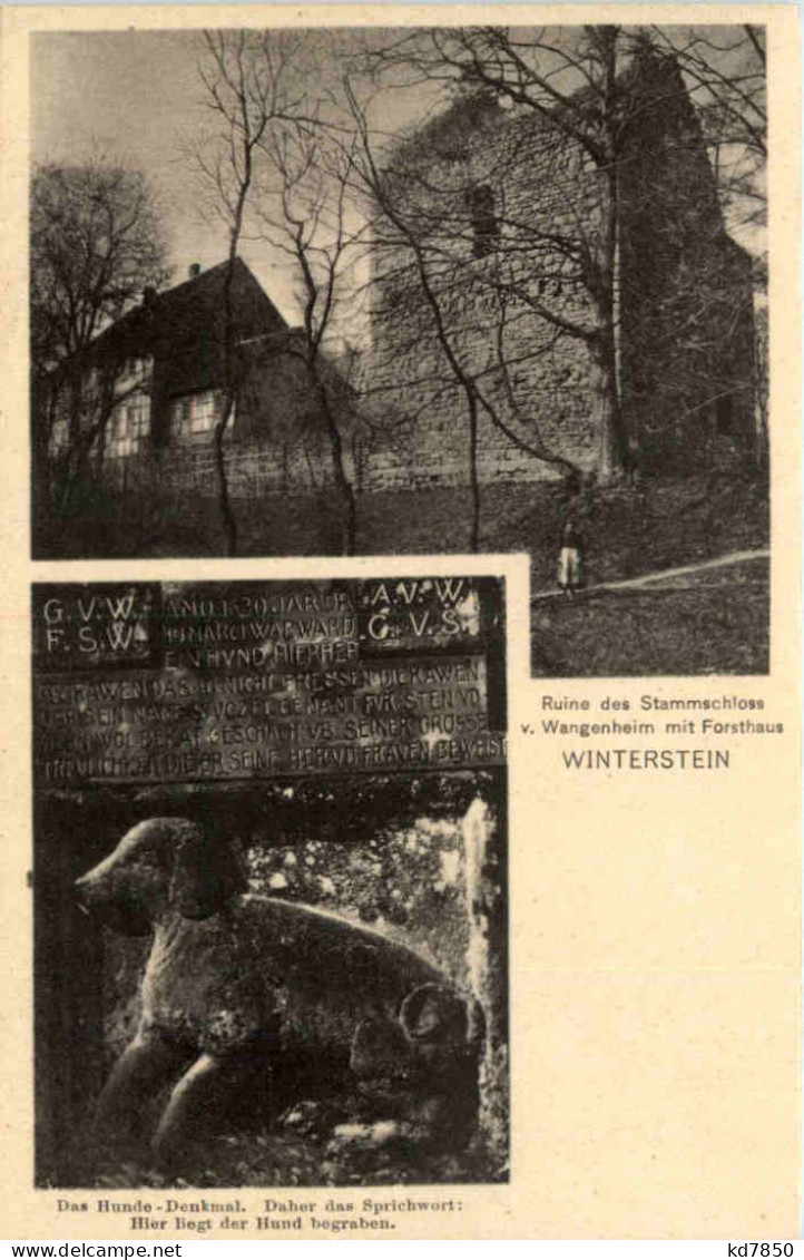 Waltershausen, Ruine Des Stammschloss V. Wangenheim, Winterstein - Waltershausen