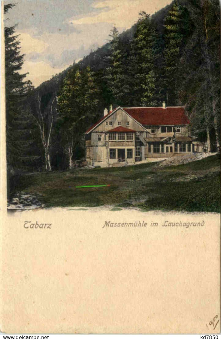 Tabarz, Massenmühle Im Lauchagrund - Tabarz