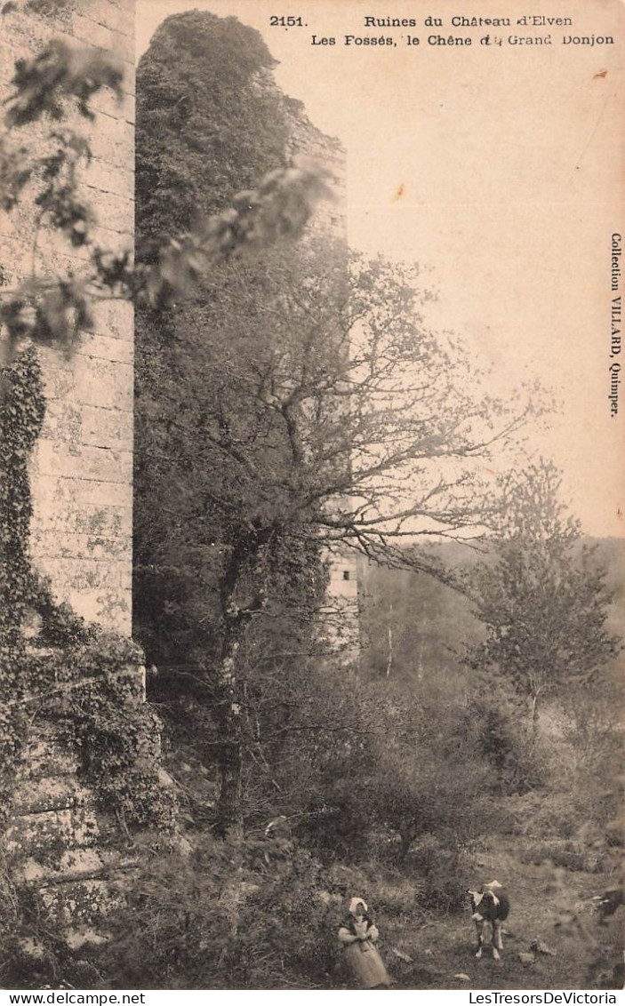 FRANCE - Ruines Du Château D'Elven - Les Fosses - Le Chêne Du Grand Donjon - Vue Panoramique - Carte Postale Ancienne - Elven