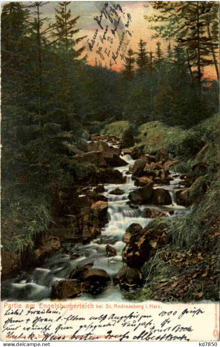 Engelsburgerteich Bei St. Andreasberg - Braunlage