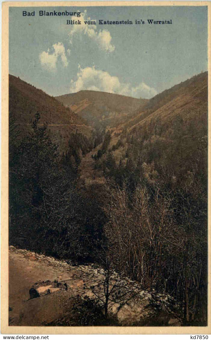 Bad Blankenburg, Blick Vom Katzenstein Ins Werratal - Bad Blankenburg