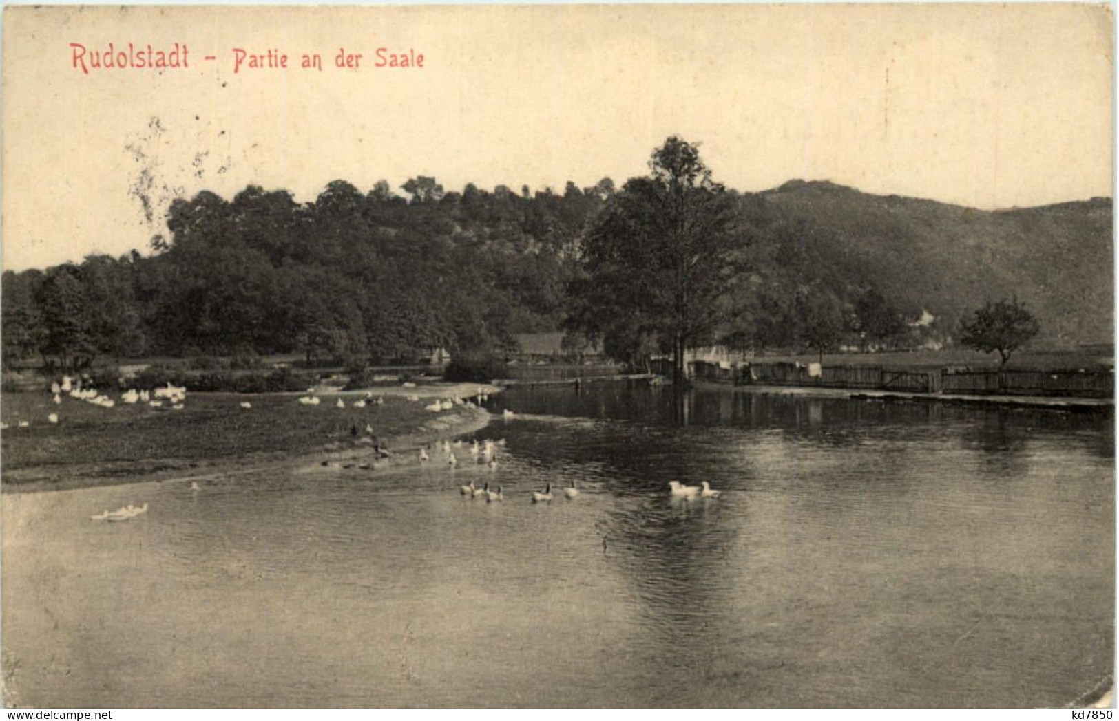 Rudolstadt, Partie An Der Saale - Rudolstadt