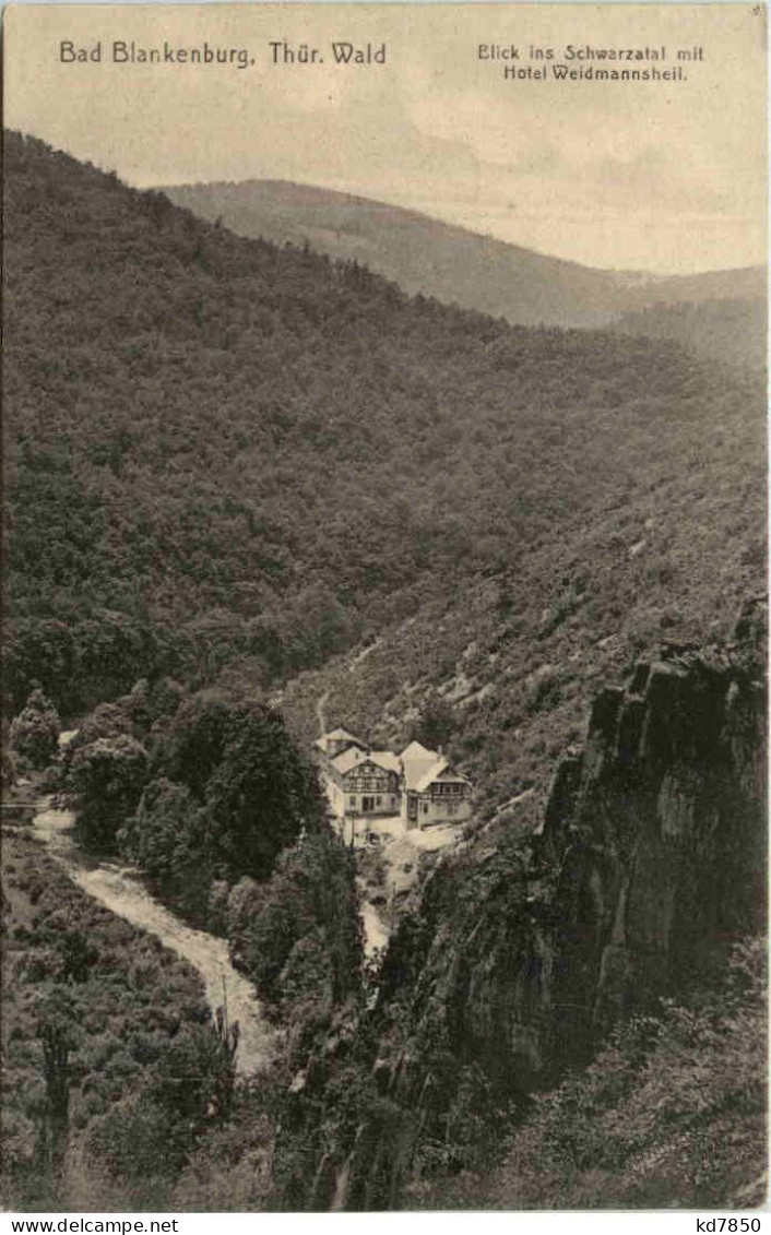 Bad Blankenburg, Blick In Das Schwarzatal Mit Hotel Weidmannsheil - Bad Blankenburg