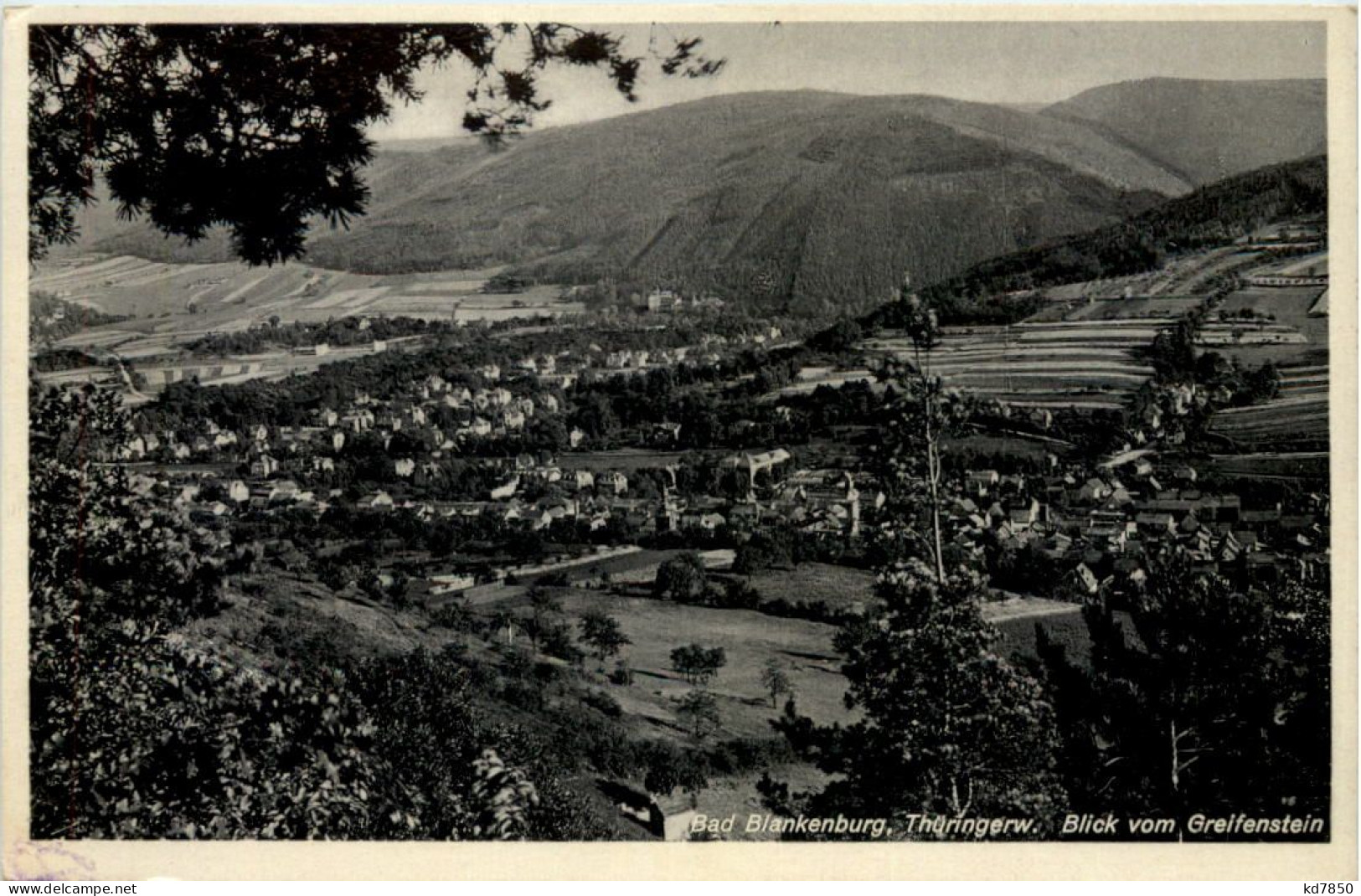 Bad Blankenburg, Blick Vom Greifenstein - Bad Blankenburg