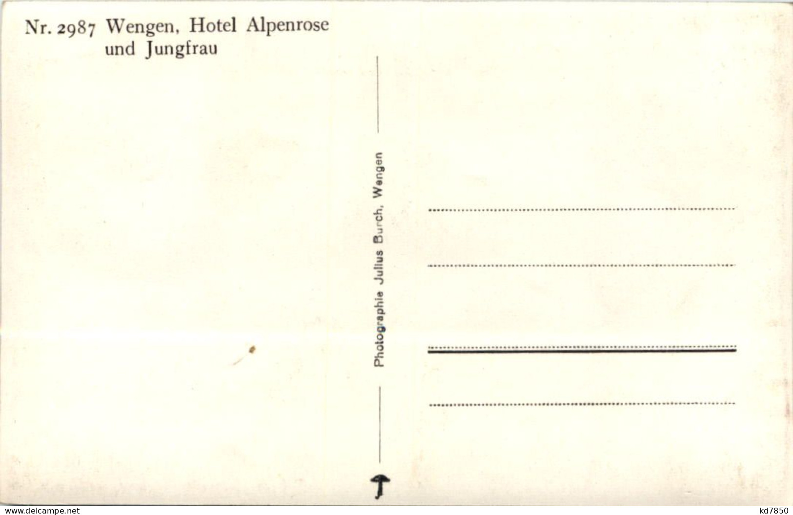 Wengen - Hotel Alpenrose - Wengen