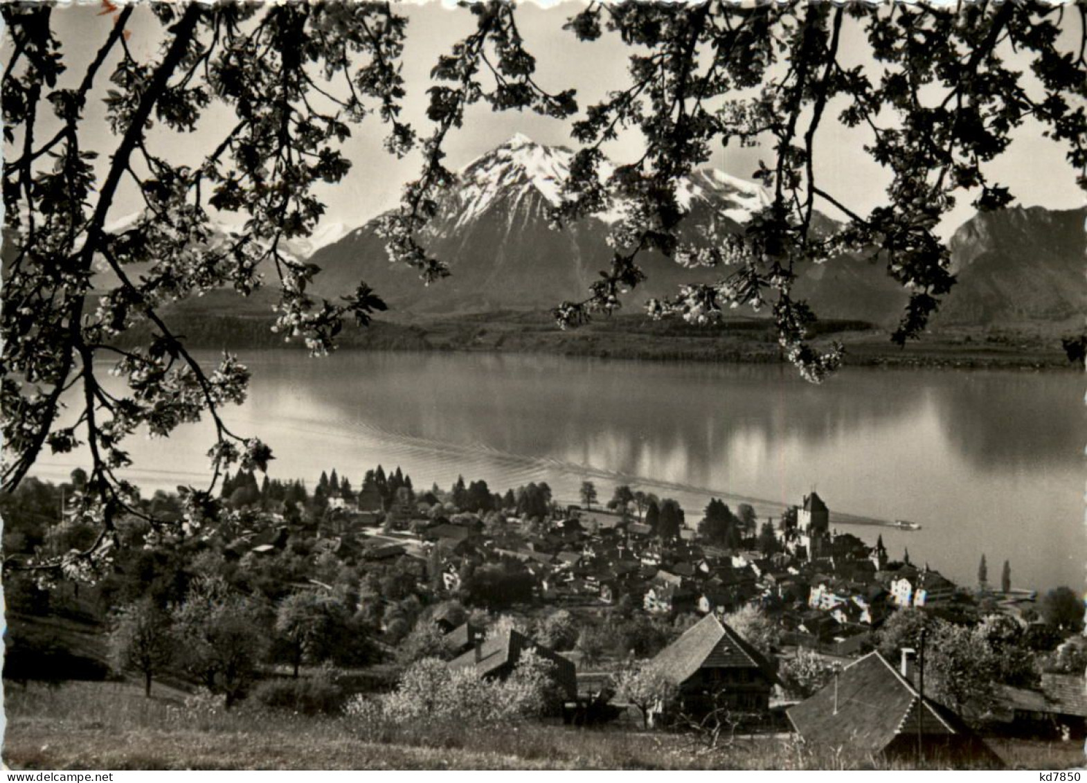 Oberhofen Am Thunersee - Oberhofen Am Thunersee