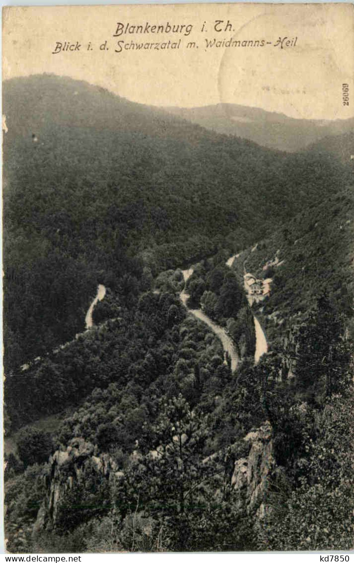 Bad Blankenburg, Blick In Das Schwarzatal Und Auf Weidmannsheil - Bad Blankenburg