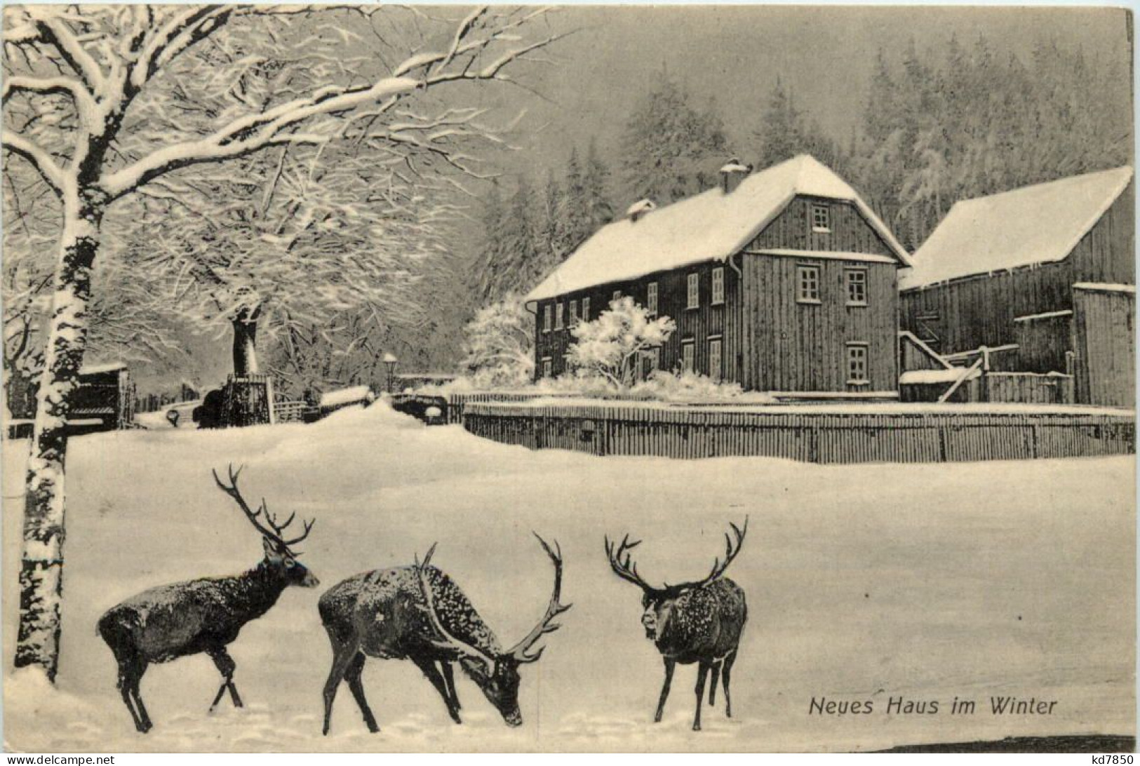 Tabarz - Neues Haus Im Winter - Tabarz