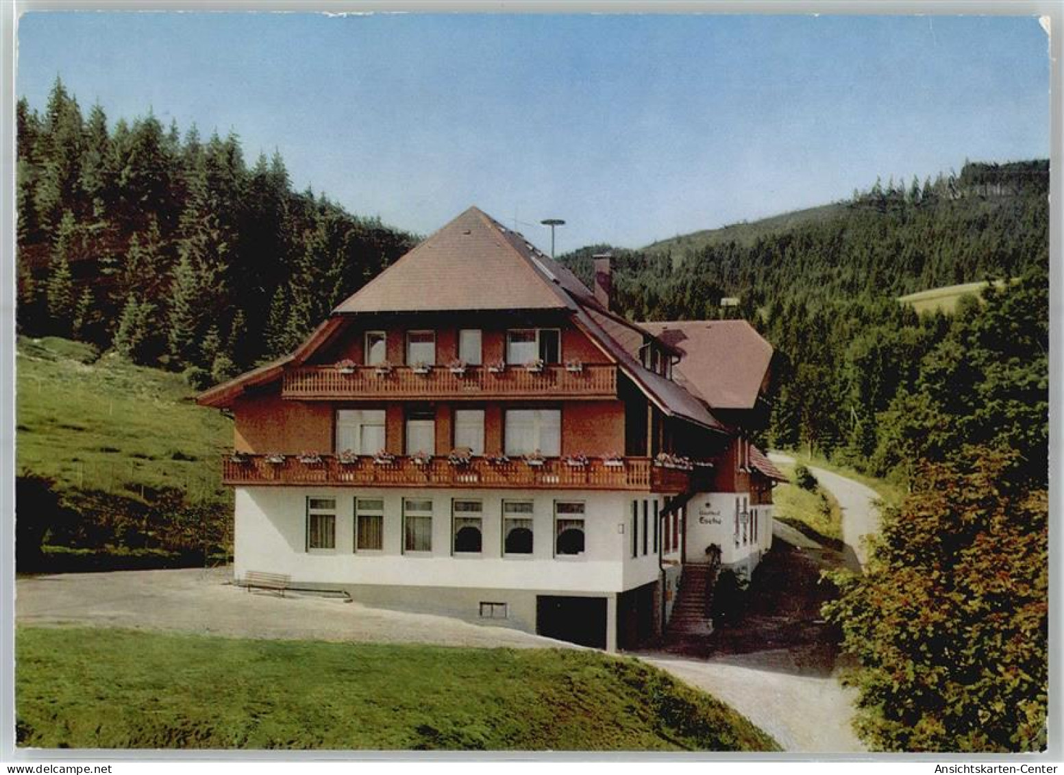 51470602 - Hinterzarten - Hinterzarten