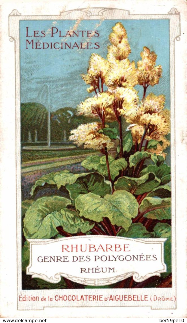 CHROMO CHOCOLAT D'AIGUEBELLE LES PLANTES MEDICINALES RHUBARBE - Aiguebelle