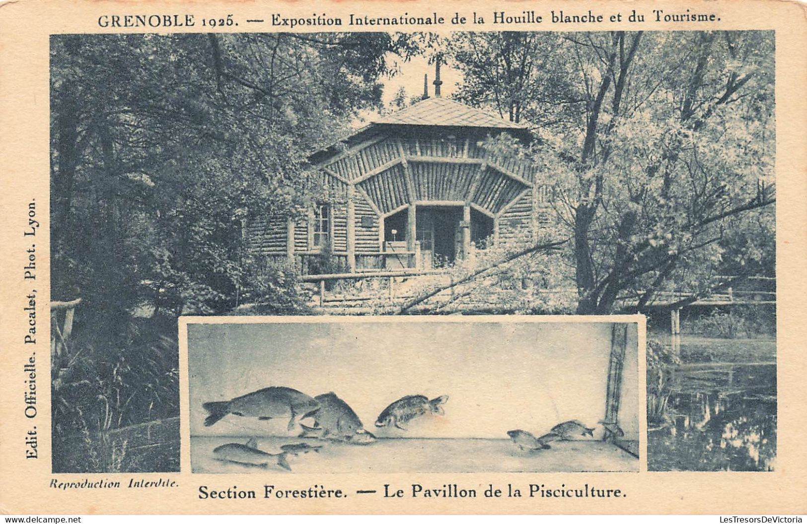 FRANCE - Grenoble - Exposition Internationale - Section Forestière - Carte Postale Ancienne - Grenoble