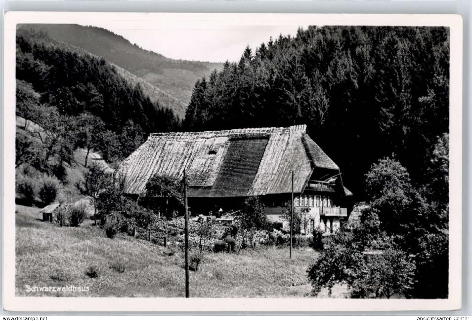 51085802 - - Hochschwarzwald