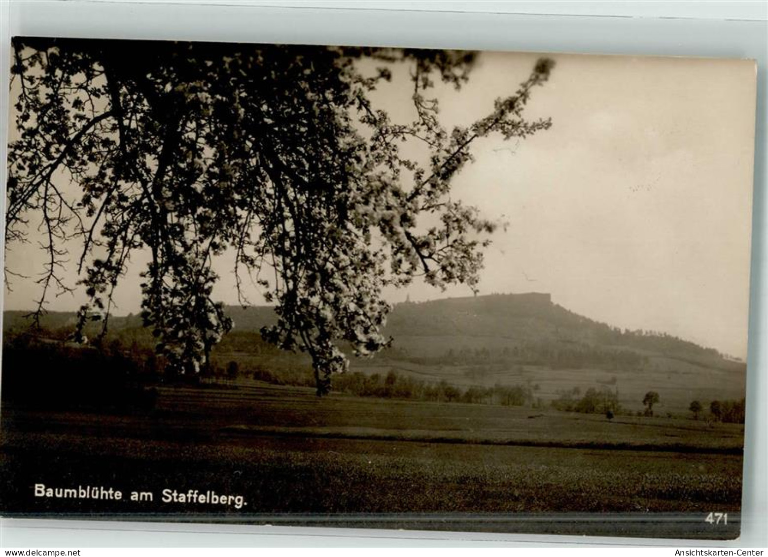 39729702 - Staffelberg - Staffelstein