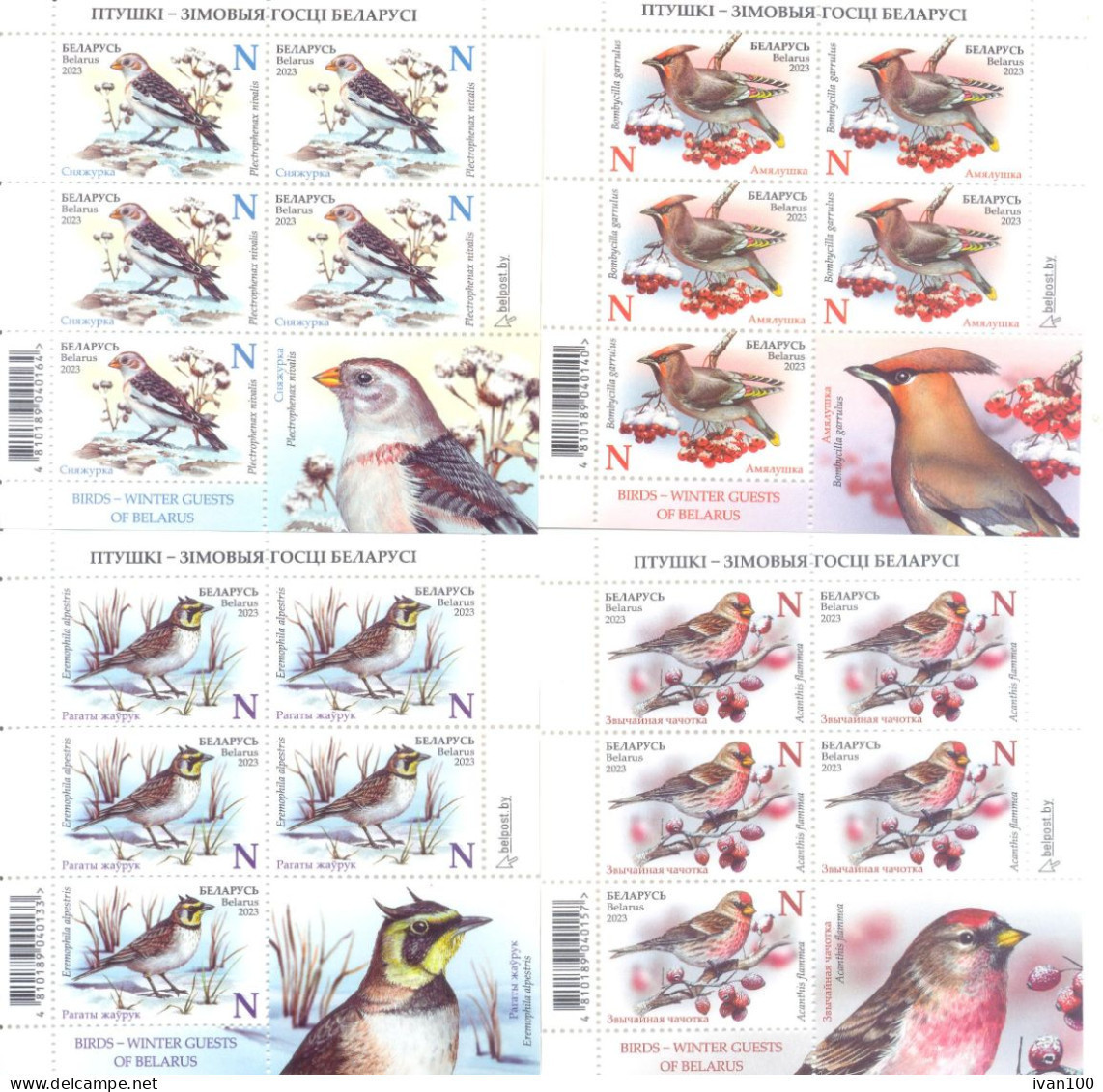 2023. Belarus, Birds - Winter Guests Of Belarus, 4 Sheetlets,  Mint/** - Bielorrusia