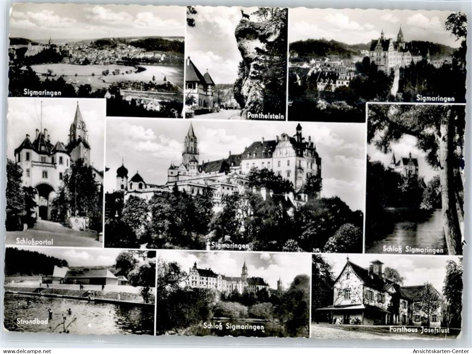 51098302 - Sigmaringen - Sigmaringen