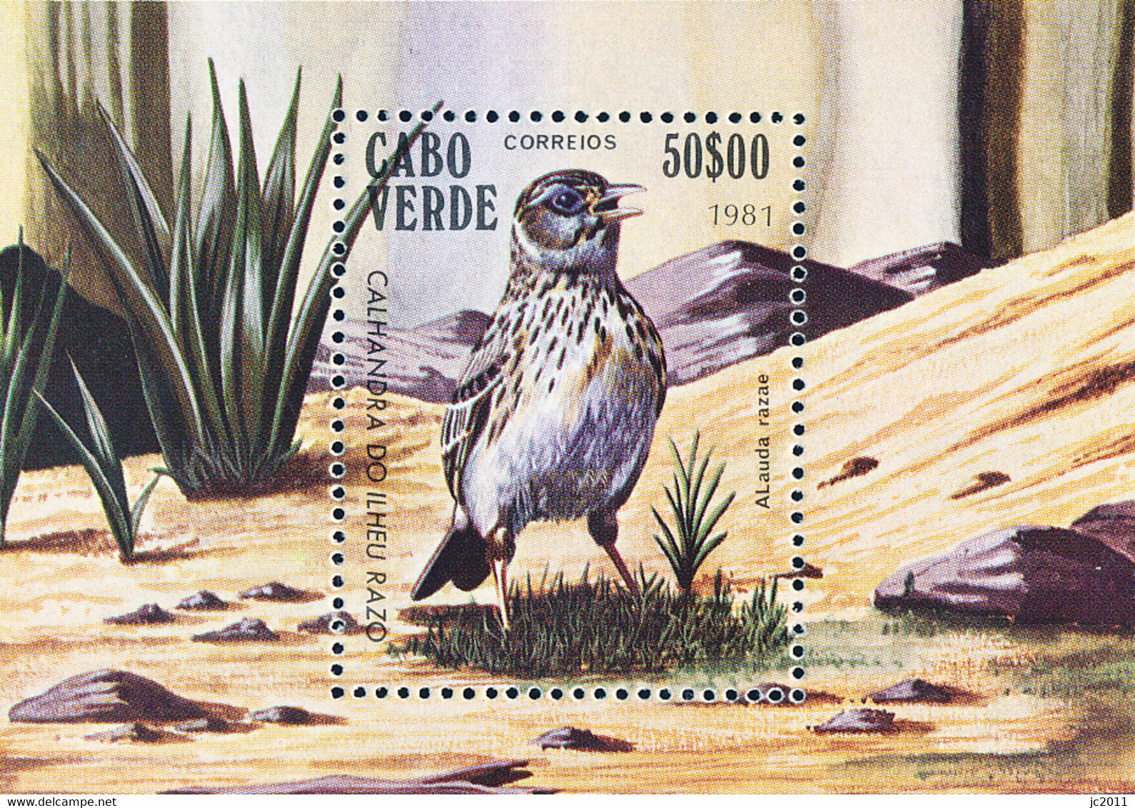 Cabo Verde - 1981 - Birds From Cape Verde - MNH - Kap Verde