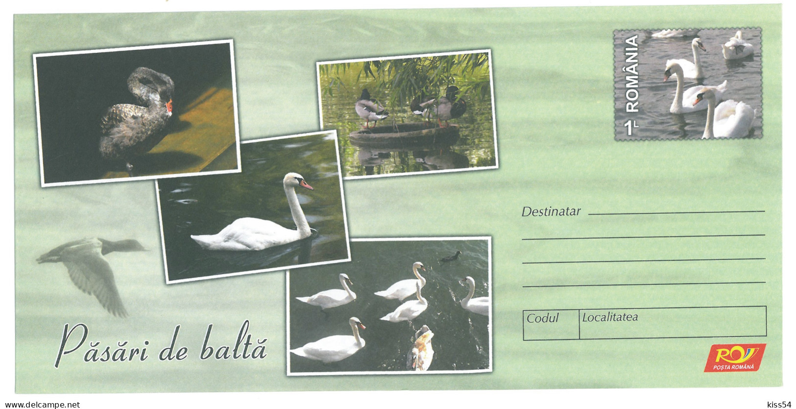 IP 2015 - 14 Black And White SWAN, Wild Gouse, Romania - Stationery - Unused - 2015 - Cigni