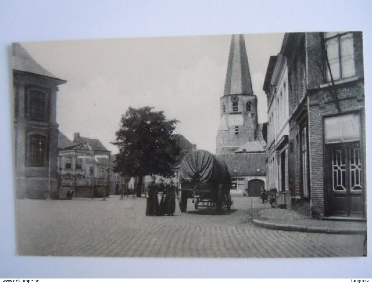 Torhout Markt Met Vrijheidsboom Rond 1890 Boorden Zijn Bijgeknipt - Torhout