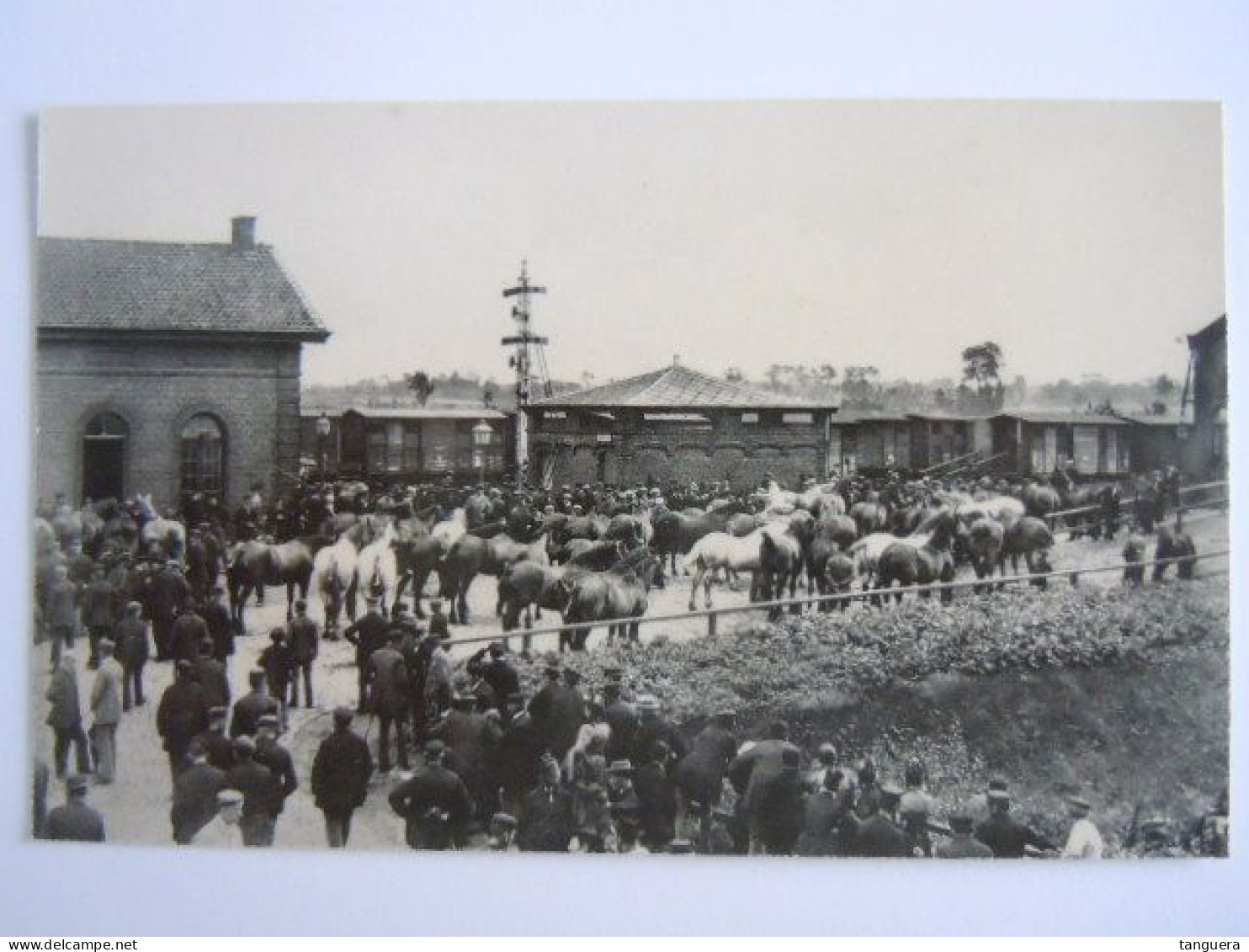 Torhout Aloude Paardenmarkt De Verkochte Paarden Worden Op De Treinen Geladen (voor 1914) -  Boorden Zijn Bijgeknipt - Torhout