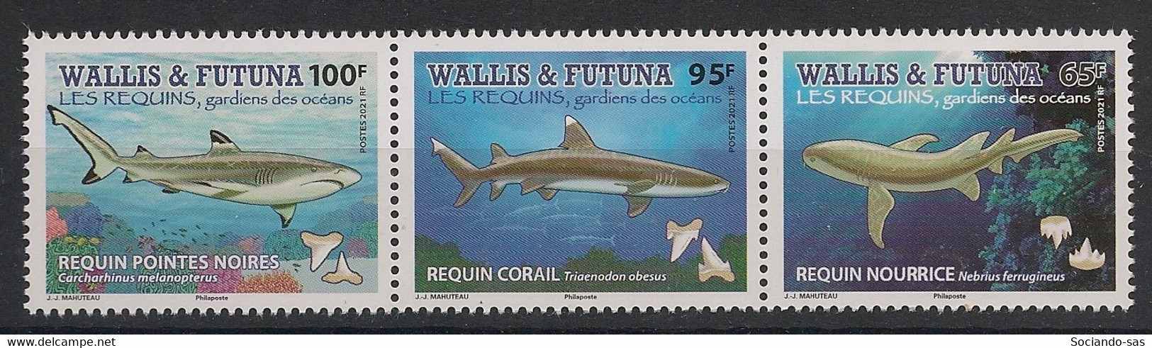 WALLIS ET FUTUNA - 2021 - N°YT. 950 à 952 - Requins - Neuf Luxe ** / MNH / Postfrisch - Altri & Non Classificati