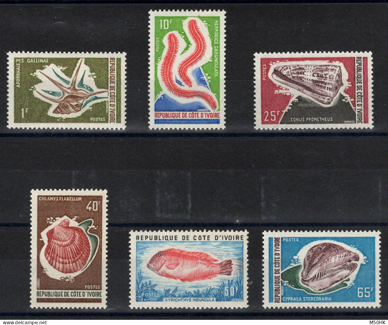 Cote D'Ivoire - YV 324 à 328 N** MNH Luxe Complète , Faune Marine - Côte D'Ivoire (1960-...)