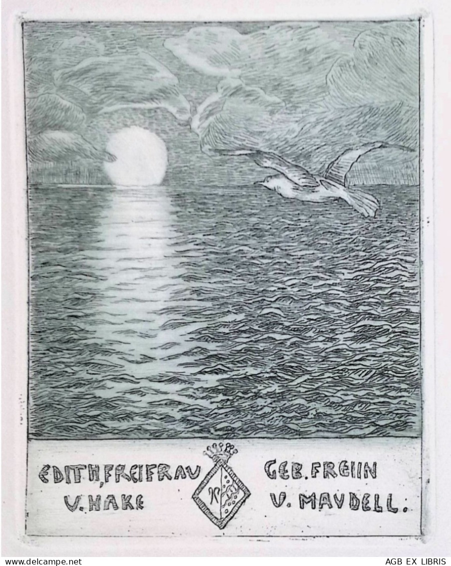 INCISIONE EX LIBRIS EDITH FREI FRAU U. HAKE U. MAUDELL GEB. FREIIN EXLIBRIS SOLE MARE GABBIANO NUVOLE - Ex-Libris