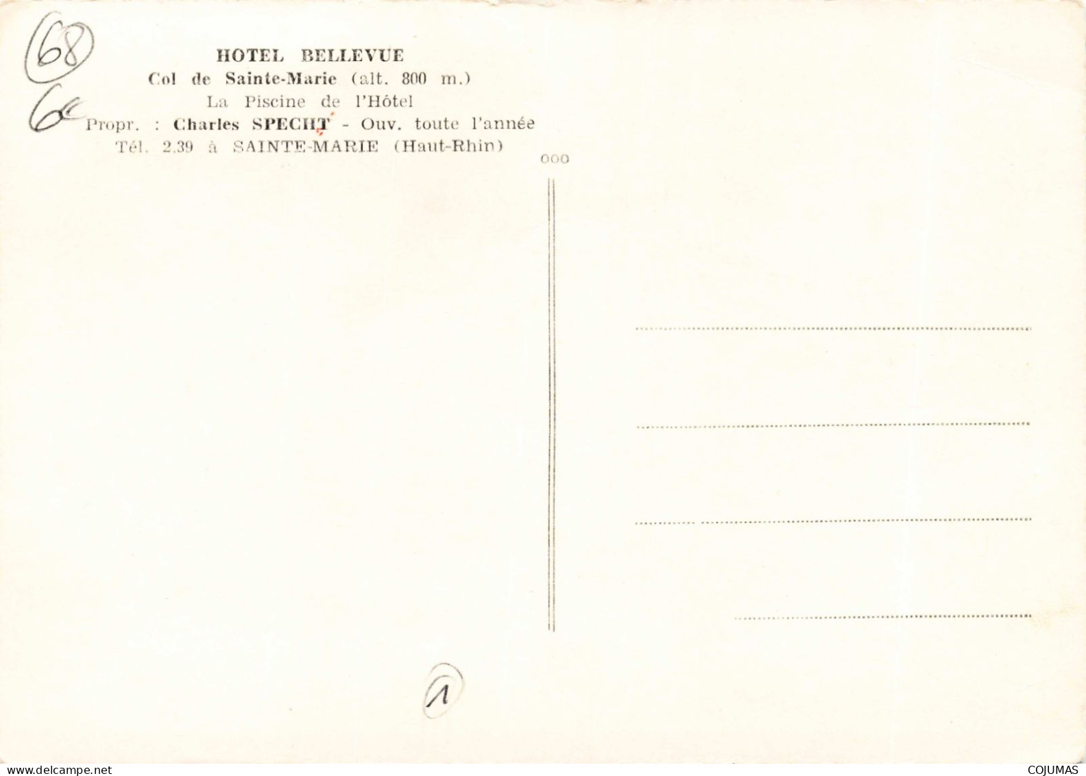 68 - SAINTE MARIE _S27917_ Hôtel Bellevue - Col - La Piscine De L'Hôtel - Propr. Specht - CPSM 15x10 Cm - Sainte-Marie-aux-Mines