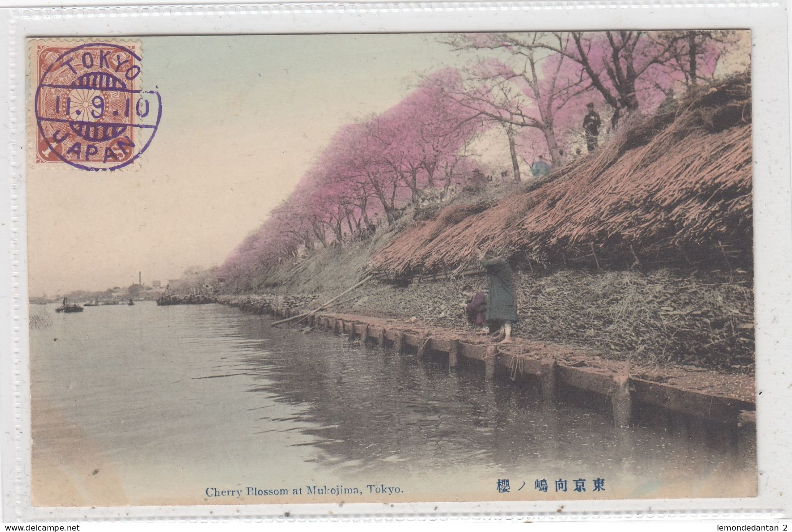 Cherry Blossom At Mukojima, Tokyo. * - Tokyo