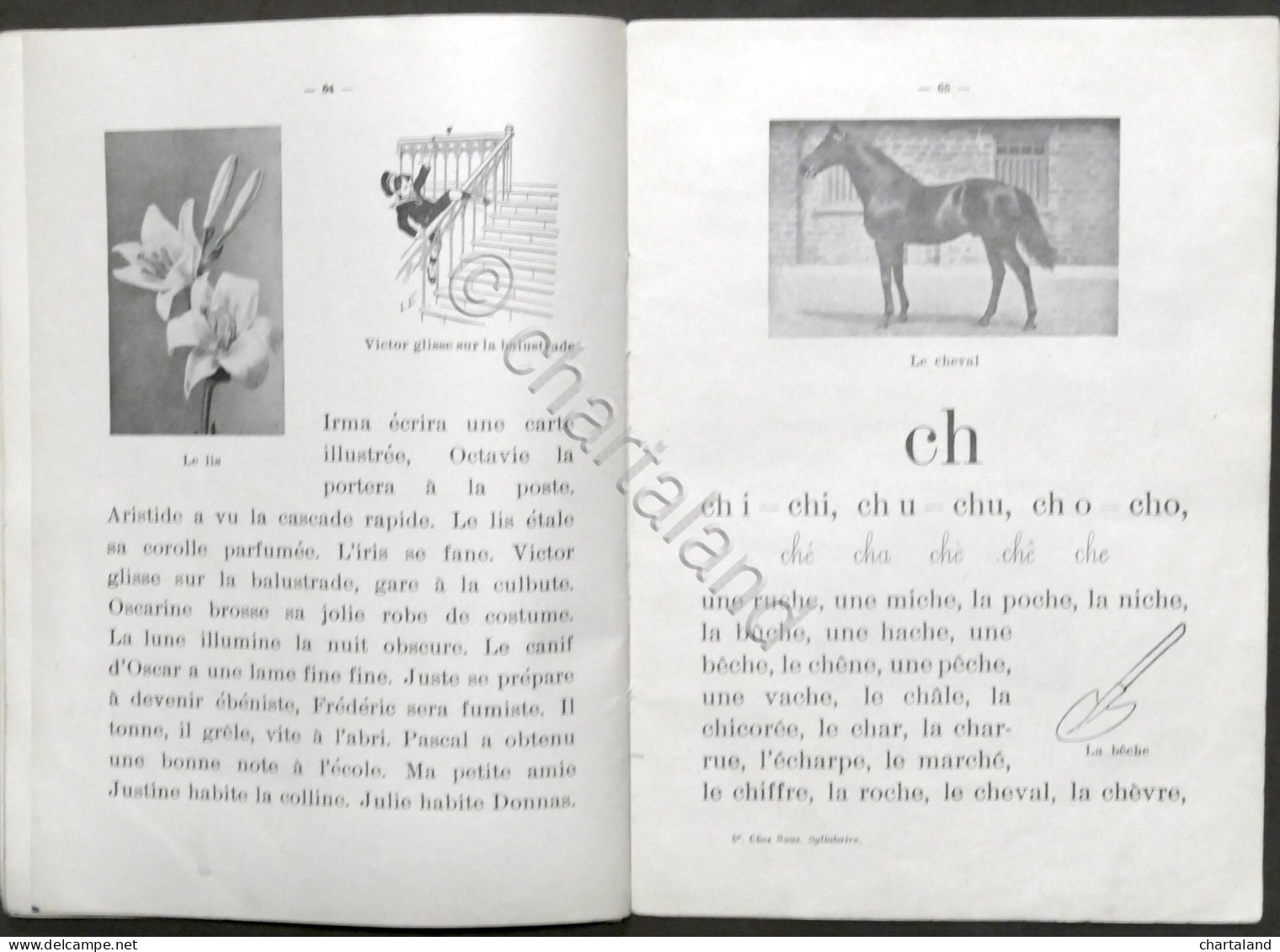 Sillabario - Chez Nous - Syllabaire - 1^ Parte - Valle D'Aosta 1950 - Altri & Non Classificati