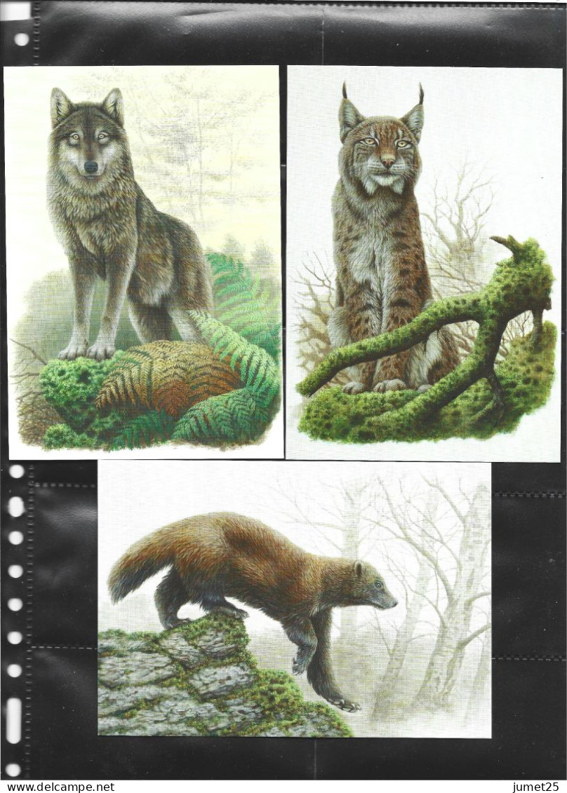 Buzin 4935/9 Loup D' Europe - Lynx - Glouton - Ours Brun - Bison D' Europe - 1985-.. Vogels (Buzin)