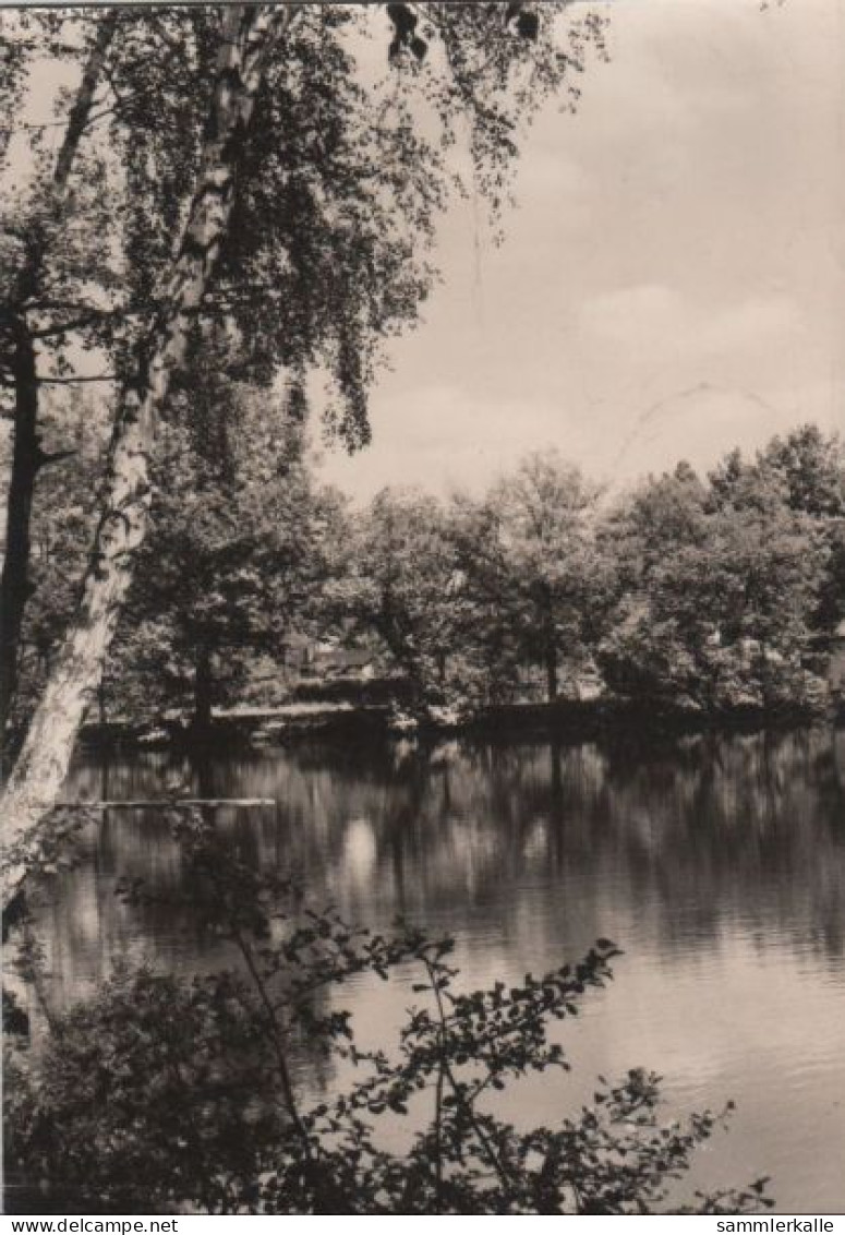 77183 - Rangsdorf - Am Nymphensee - Ca. 1970 - Rangsdorf