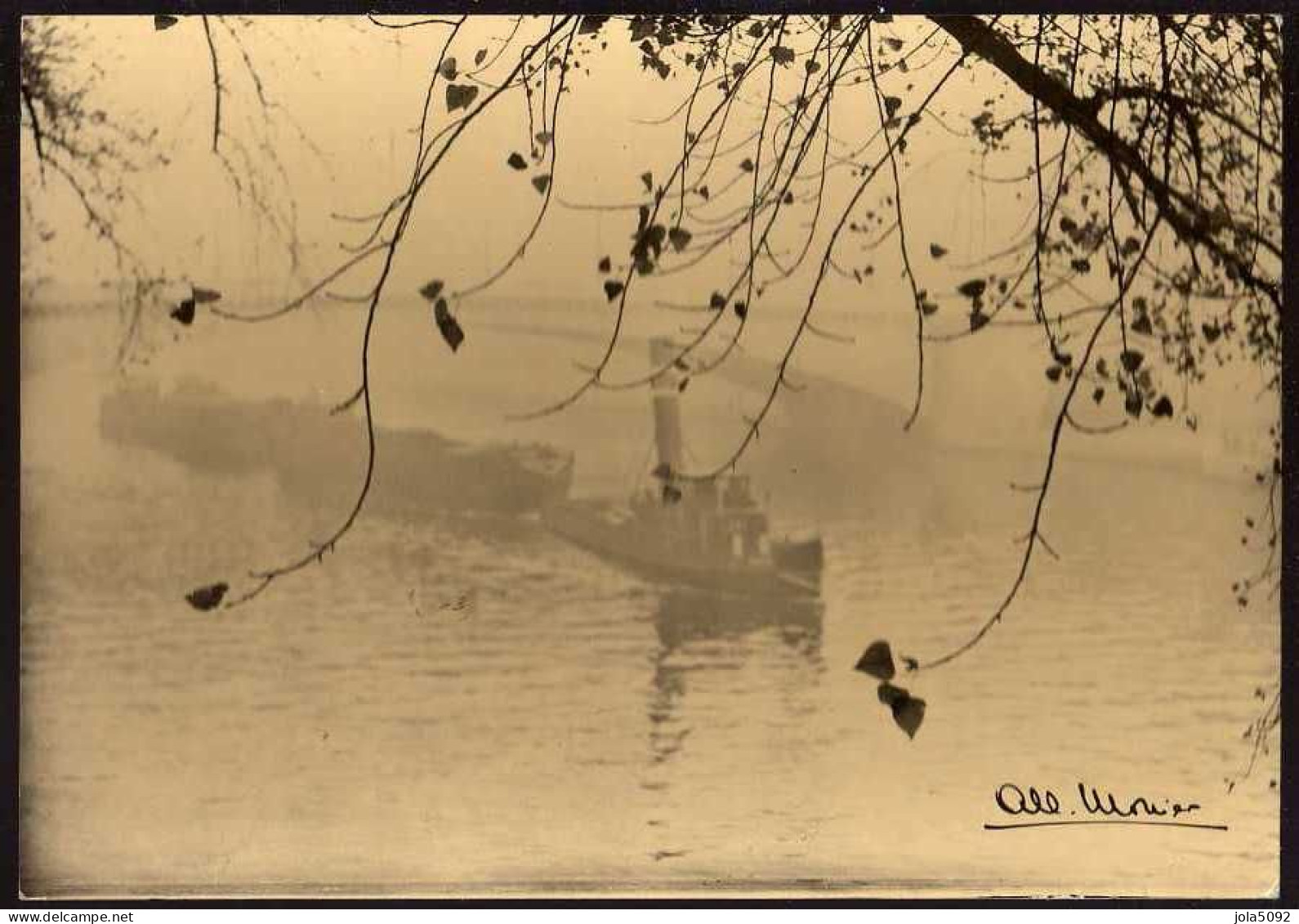 Les Dernières Feuilles - Photo Albert Monier - Monier