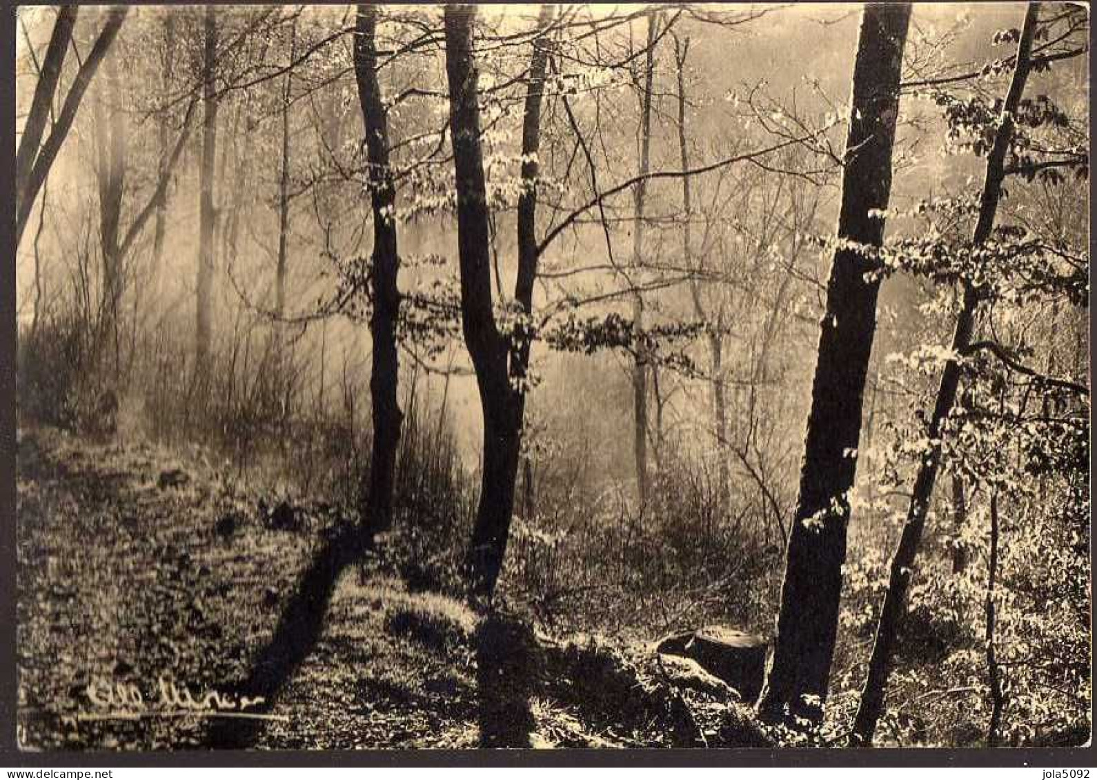 A La Recherche De L'enthousiasme - Photo Albert Monier - Monier