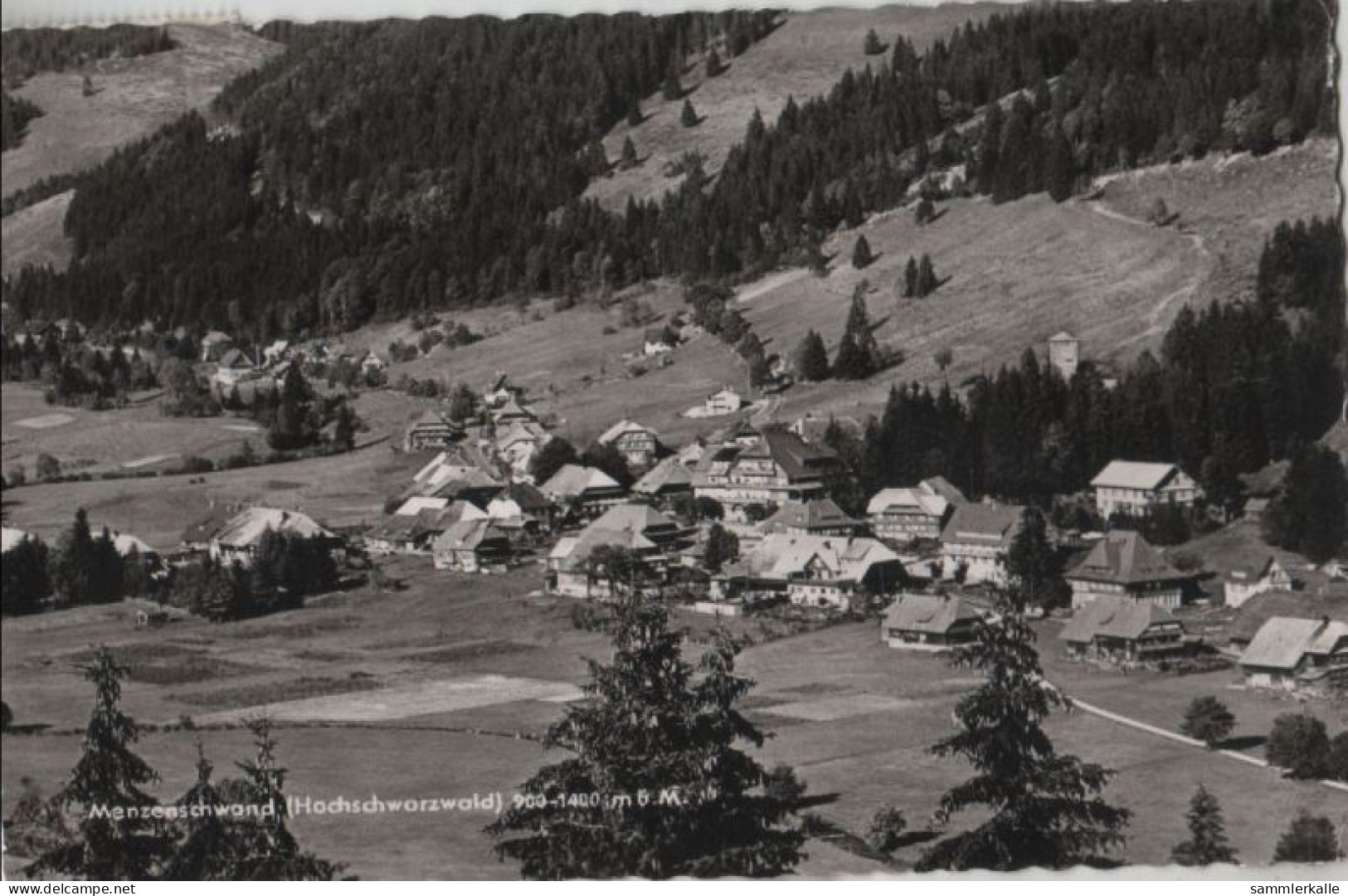 62959 - St. Blasien-Menzenschwand - 1962 - St. Blasien