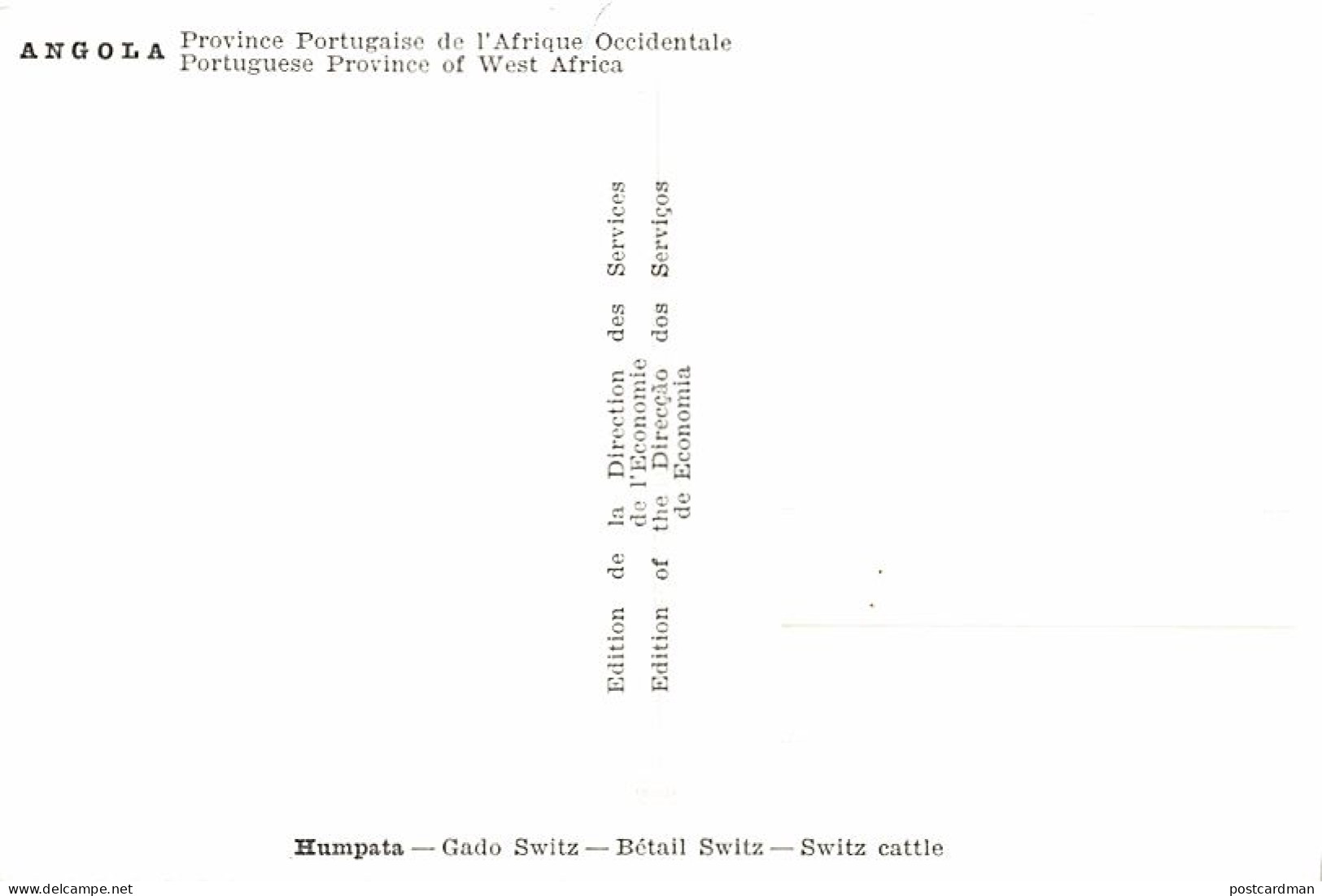 Angola - HUMPATA - Swiss Cattle - Publ. Direcçao Dos Serviços De Economica  - Angola