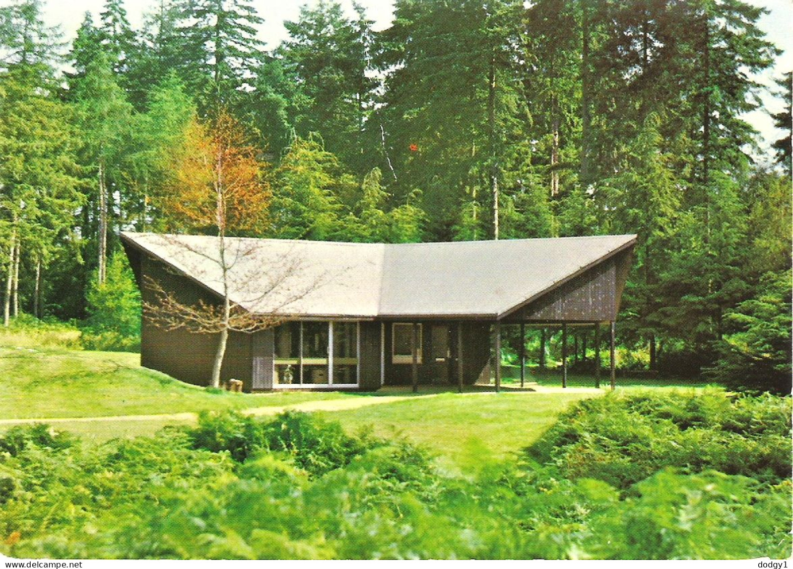 VISITOR CENTRE, ALICE HOLT FOREST, FARNHAM, HAMPSHIRE, ENGLAND. UNUSED POSTCARD M2 - Other & Unclassified