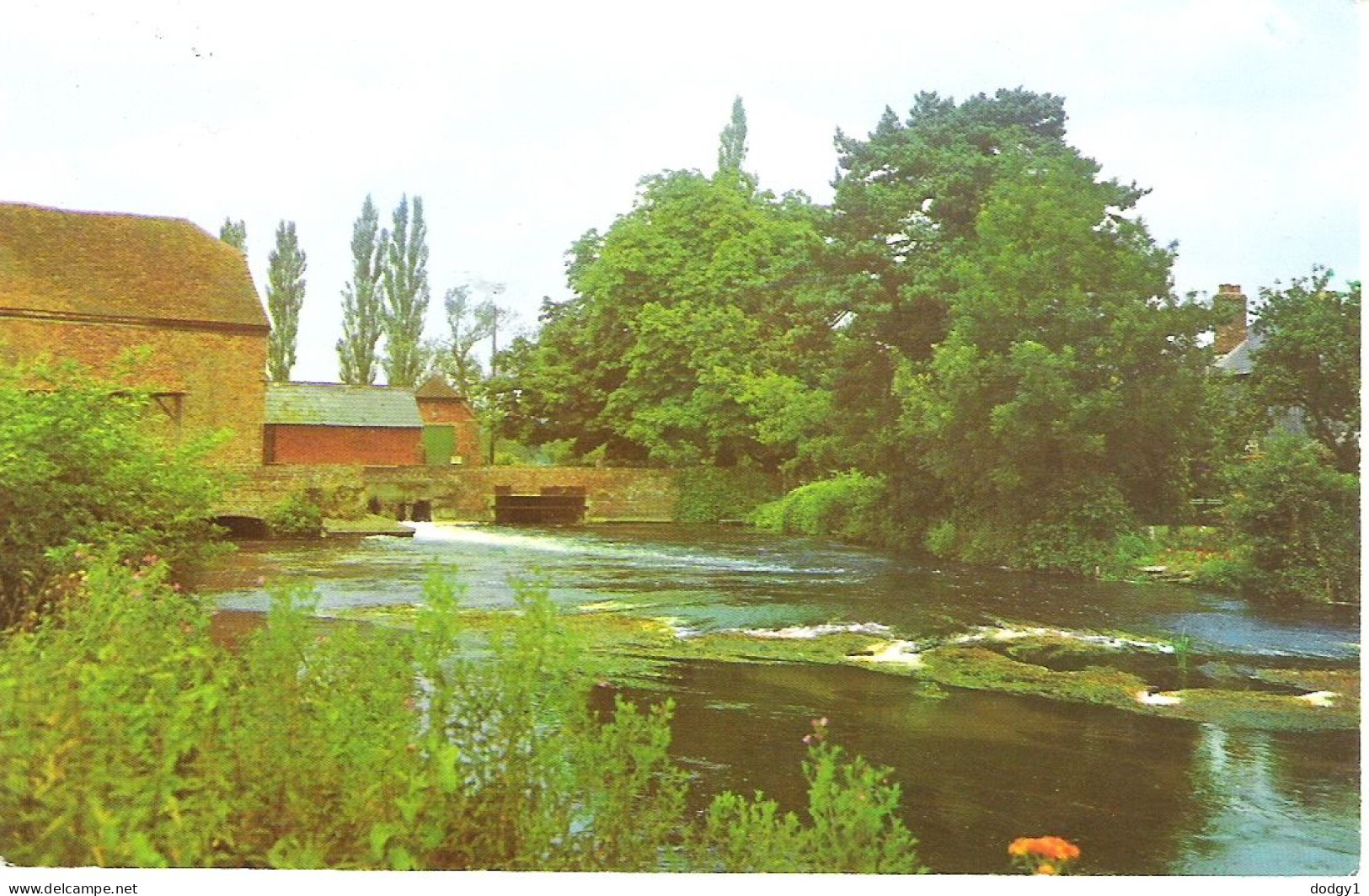 RIVER TEST, ROMSEY, HAMPSHIRE. UNUSED POSTCARD M2 - Other & Unclassified