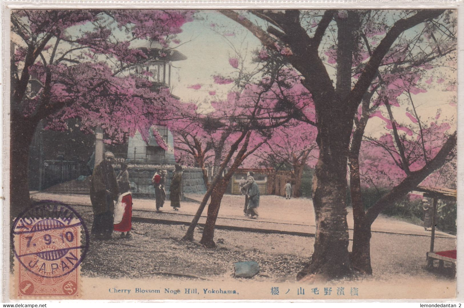 Cherry Blossom Noge Hill, Yokohama Park. * - Yokohama