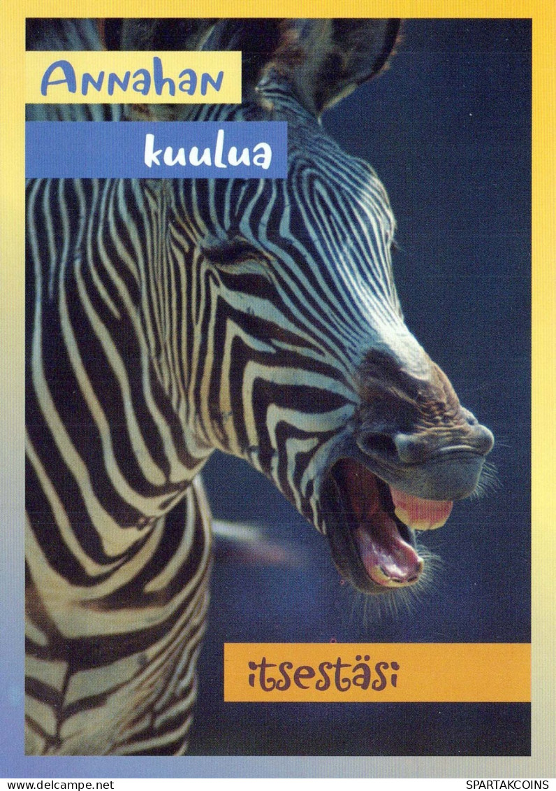 ZEBRA Animals Vintage Postcard CPSM #PBR932.GB - Zebre