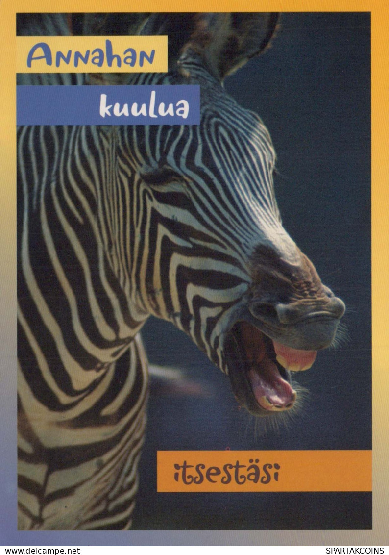 CEBRA Animales Vintage Tarjeta Postal CPSM #PBR933.ES - Zebre