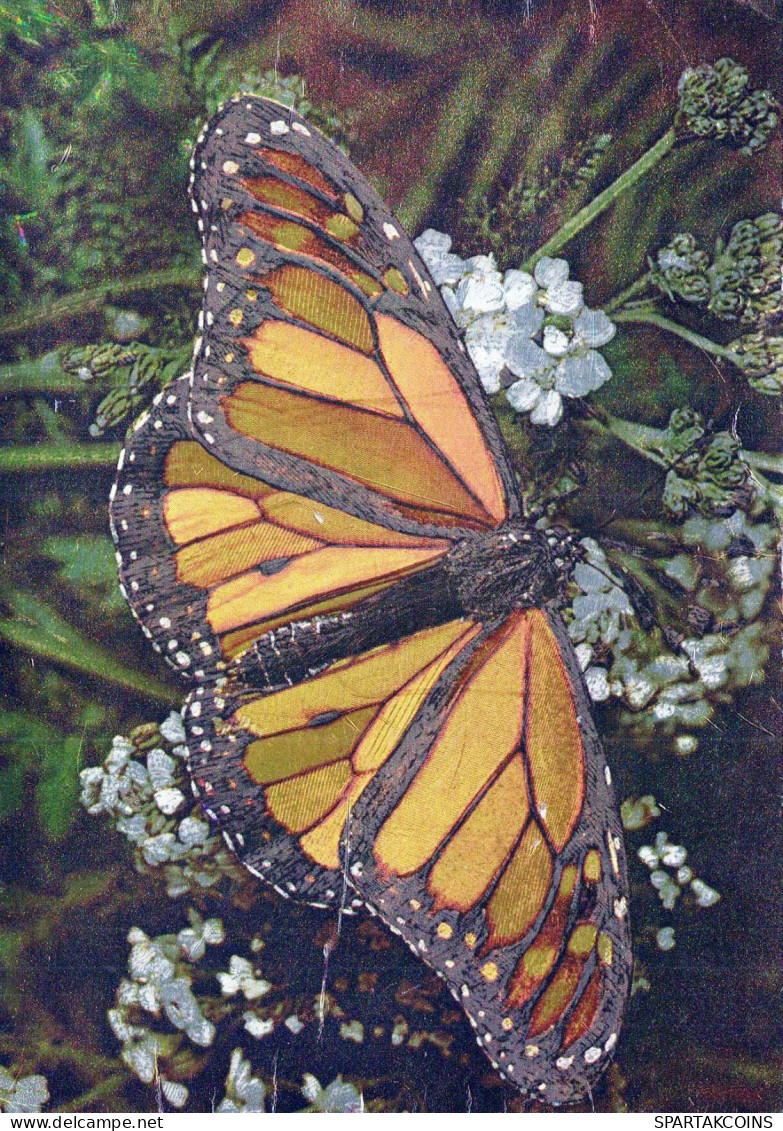 PAPILLONS Animaux LENTICULAR 3D Vintage Carte Postale CPSM #PAZ146.FR - Vlinders