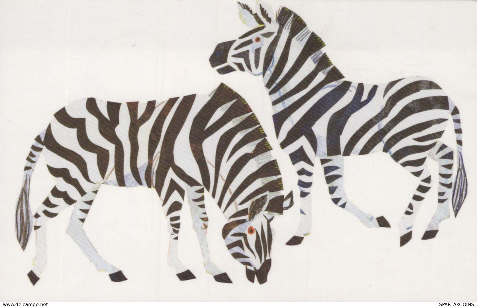 ZEBRA Animale Vintage Cartolina CPSM #PBR939.IT - Zebre