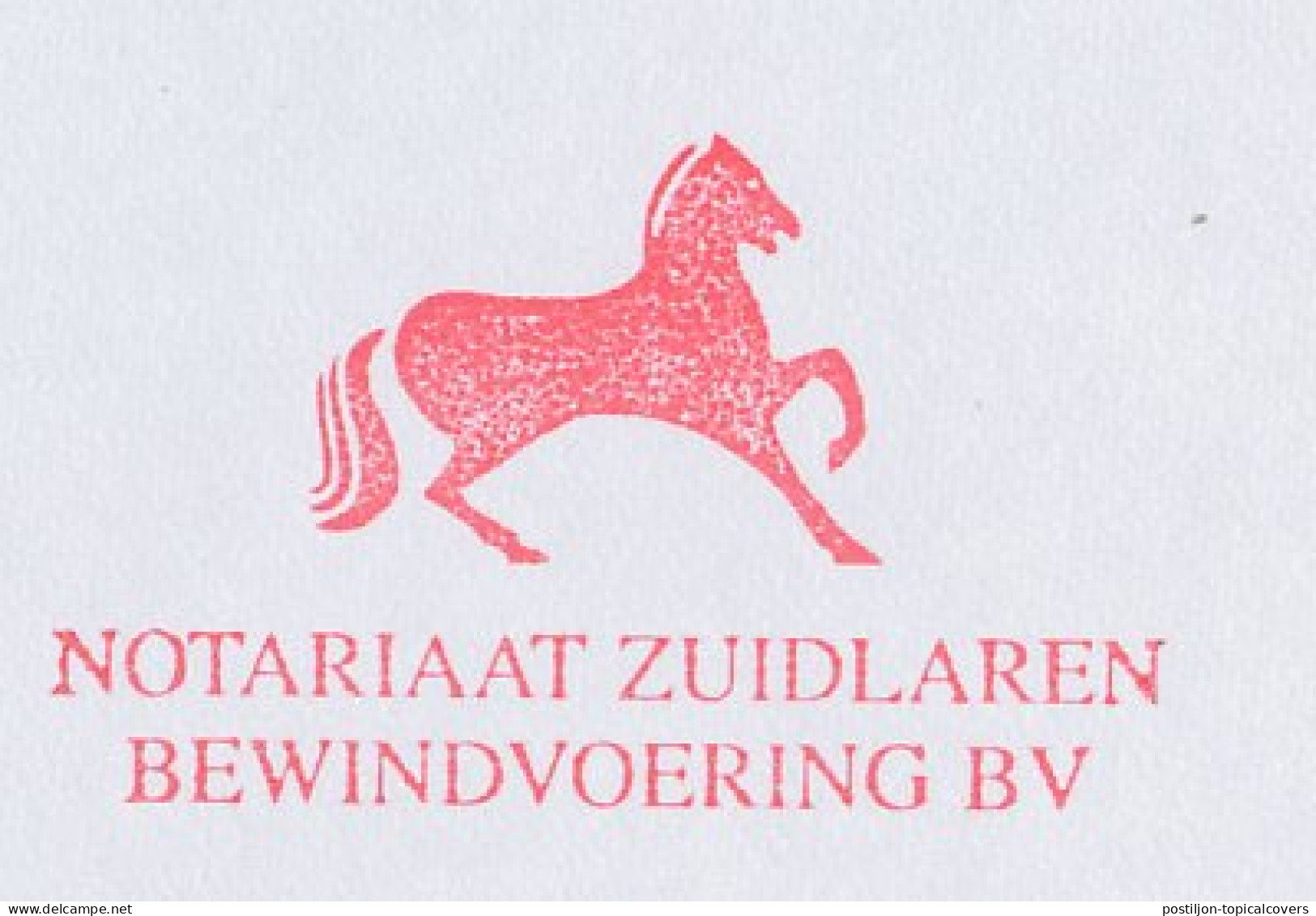 Meter Top Cut Netherlands 1998 Horse - Hippisme